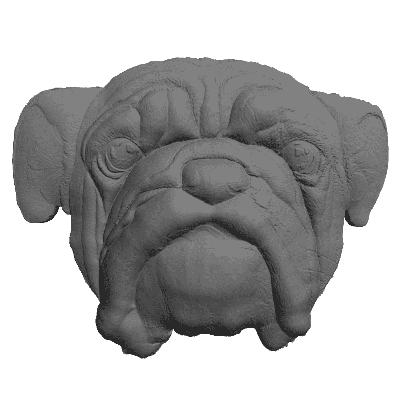 картинка Английский бульдог F1-138 3D-STL.COM