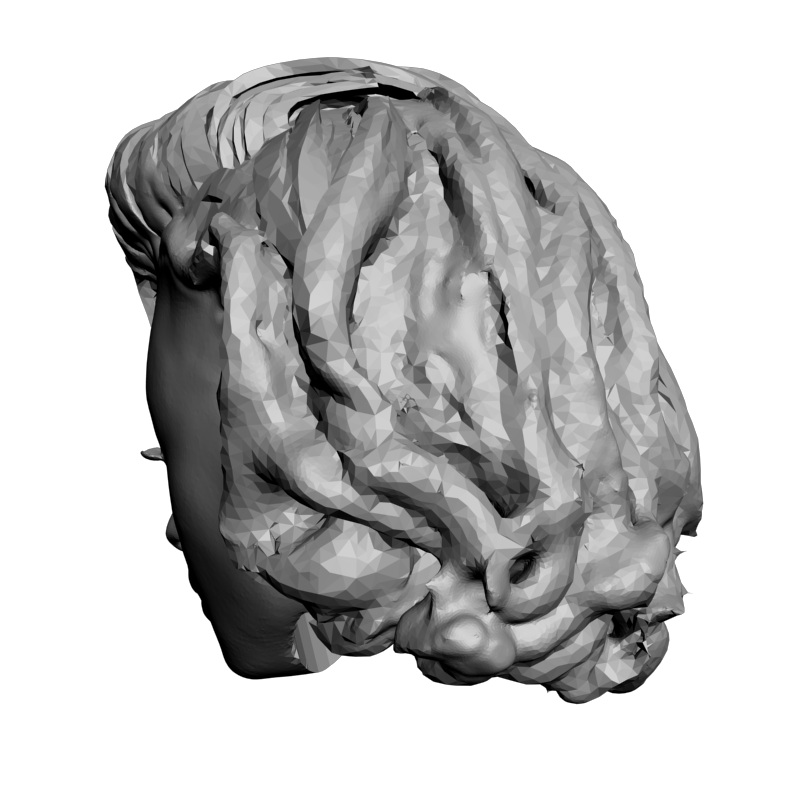 картинка Голова L5-079 3D-STL.COM
