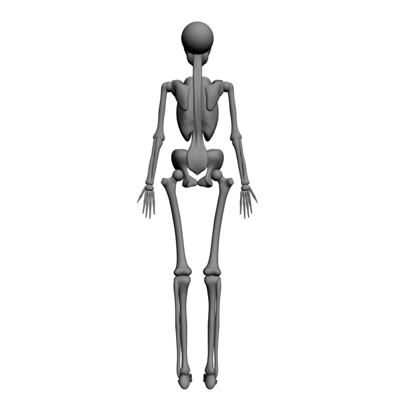 картинка Скелет человека L5-076 3D-STL.COM