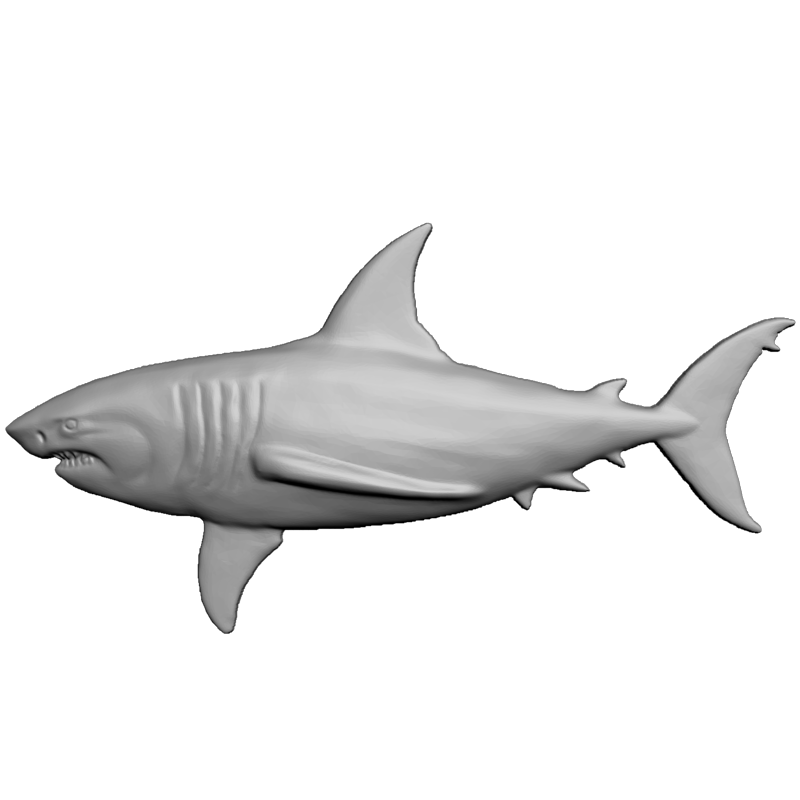 картинка Акула F5-037 3D-STL.COM