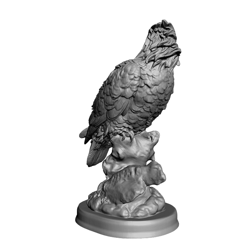 картинка Сокол F3-021 3D-STL.COM