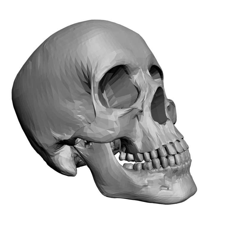 картинка Череп L5-085 3D-STL.COM