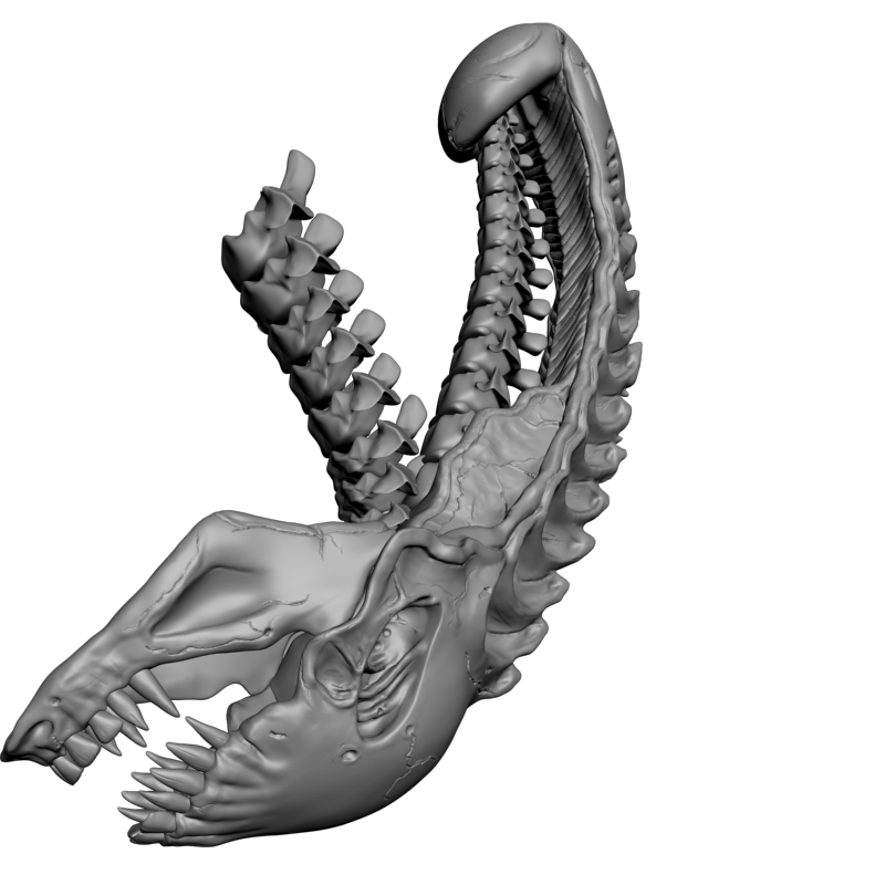 картинка Дракон череп F6-050 3D-STL.COM