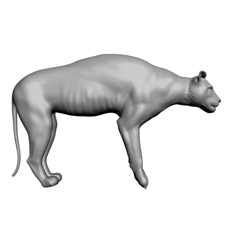 картинка Львица F1-155 3D-STL.COM