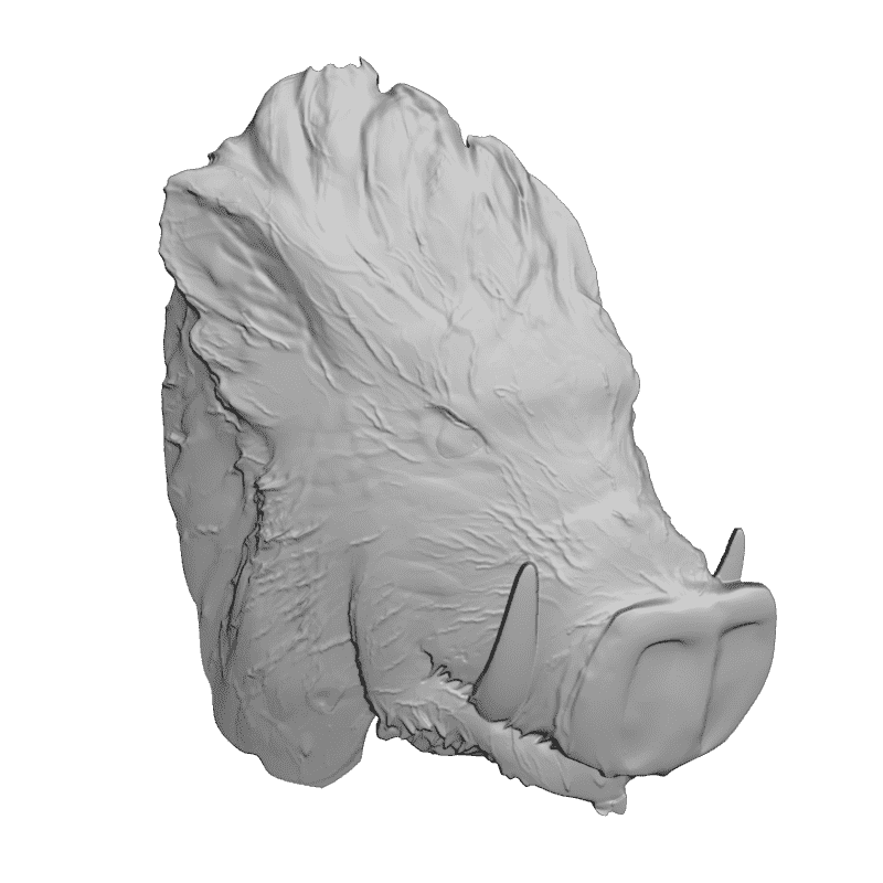 картинка Кабан F1-159 3D-STL.COM