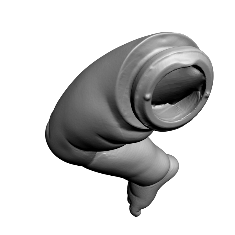 картинка Пупсик Нога PI1-365 3D-STL.COM