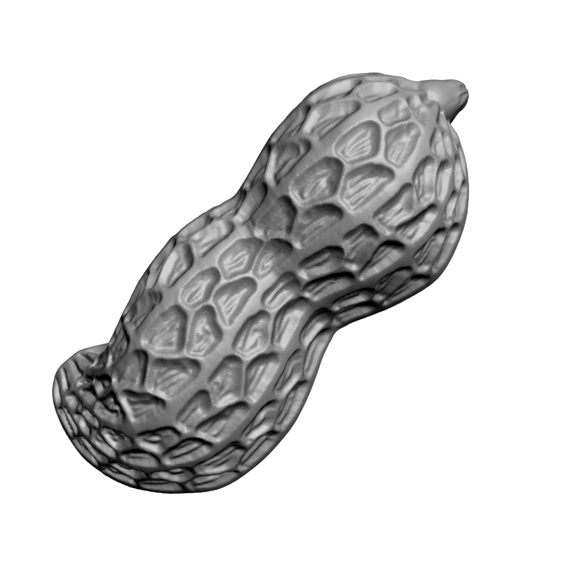картинка Арахис F4-090 3D-STL.COM