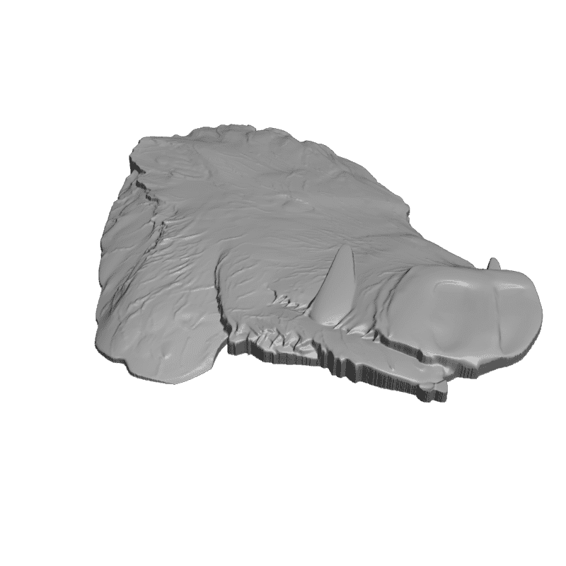 картинка Кабан F1-159 3D-STL.COM