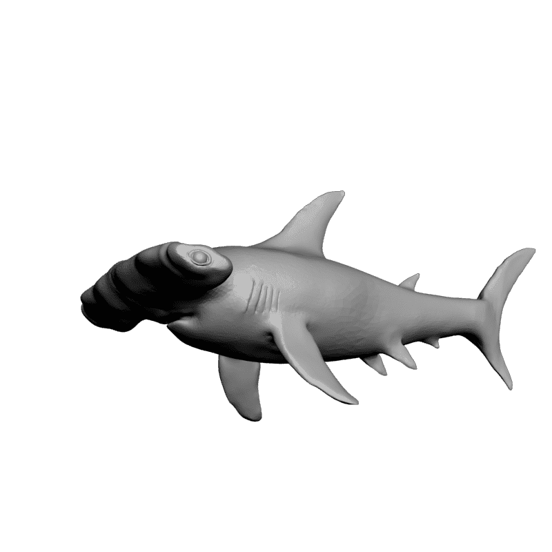 картинка Рыба-молот F5-025 3D-STL.COM