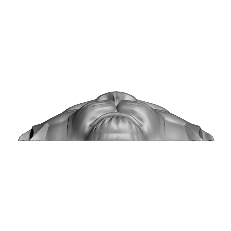 картинка Головоа тигра F1-300 3D-STL.COM