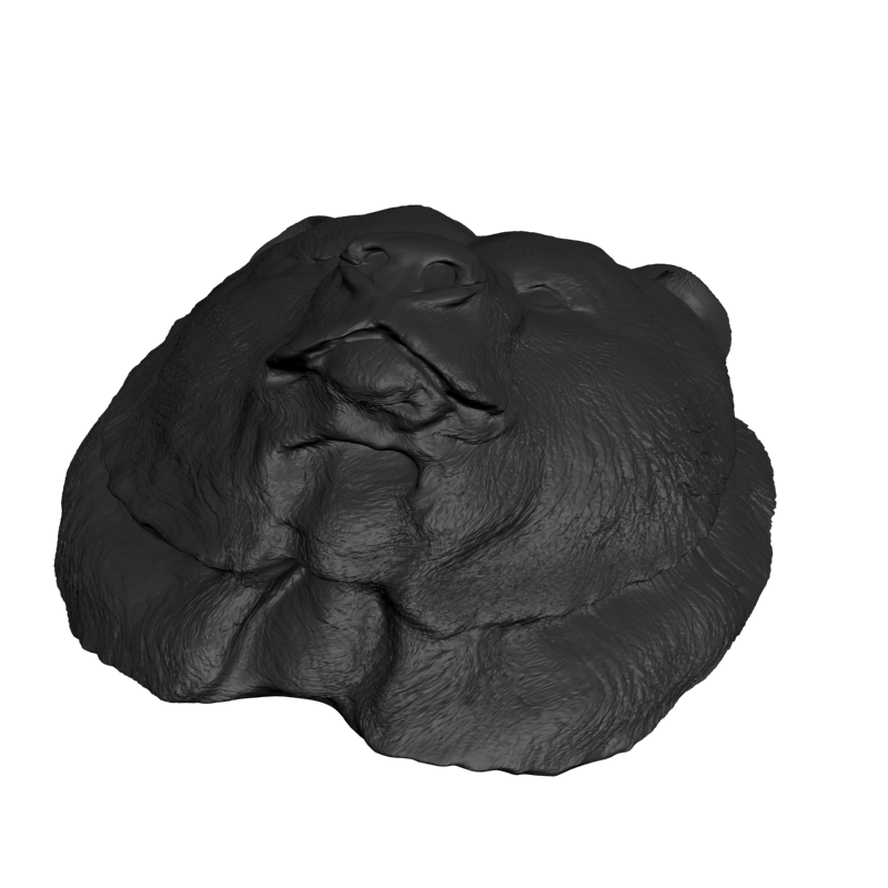 картинка Голова гризли F1-236 3D-STL.COM
