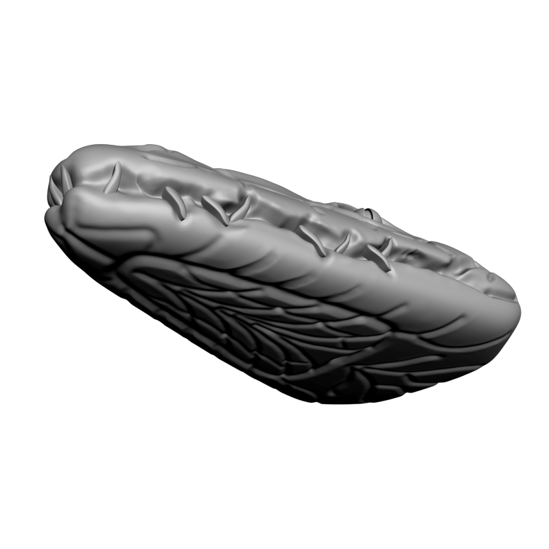 картинка Крокодила голова F2-028 3D-STL.COM