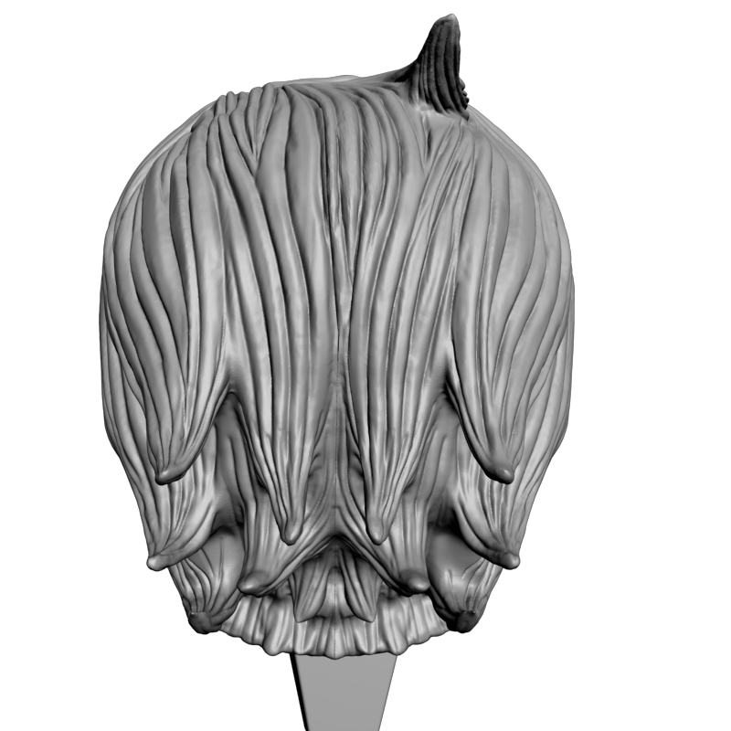 картинка Голова юноши L5-095 3D-STL.COM
