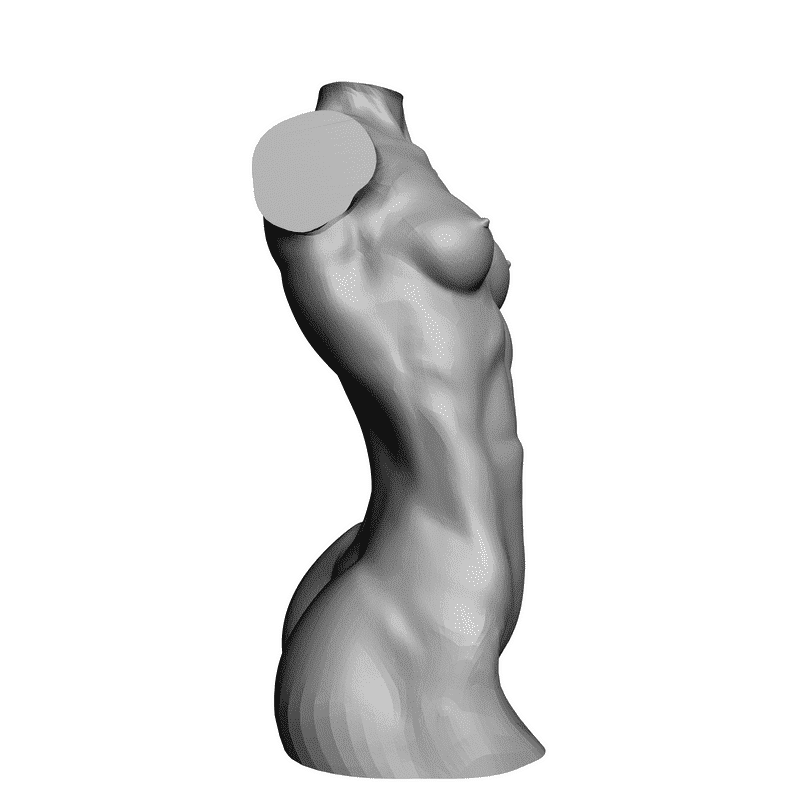 картинка Бюст девушки L5-006 3D-STL.COM