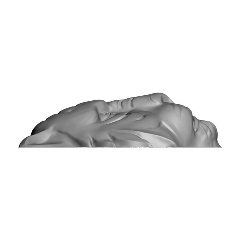 картинка Головоа тигра F1-300 3D-STL.COM