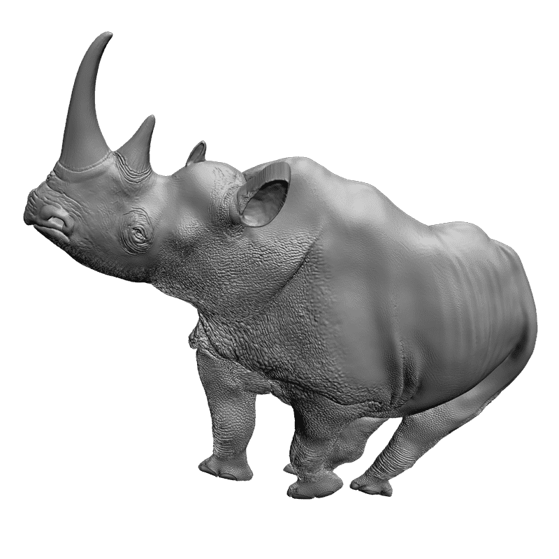 картинка Носорог F1-060 3D-STL.COM