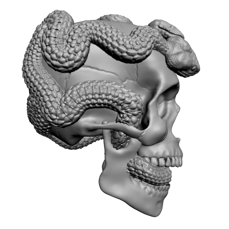 картинка Череп L5-103 3D-STL.COM