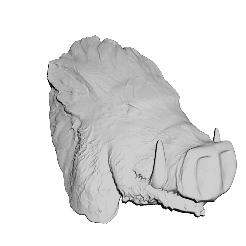 картинка Кабан F1-159 3D-STL.COM