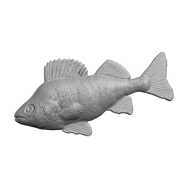 картинка Окунь F5-020 3D-STL.COM
